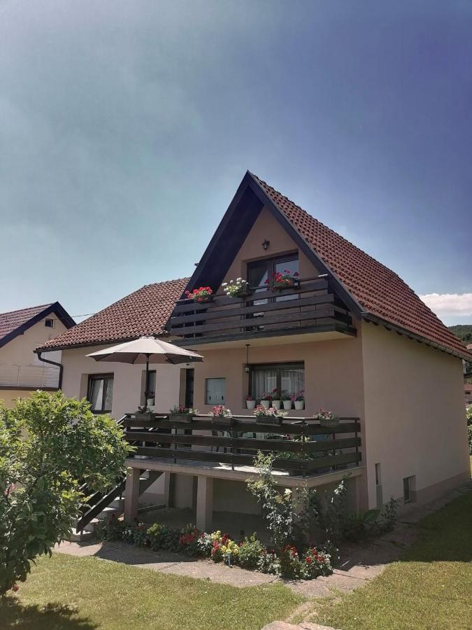 Putnicka Kuca Kod Dragane Hotel Bajina Basta Ngoại thất bức ảnh