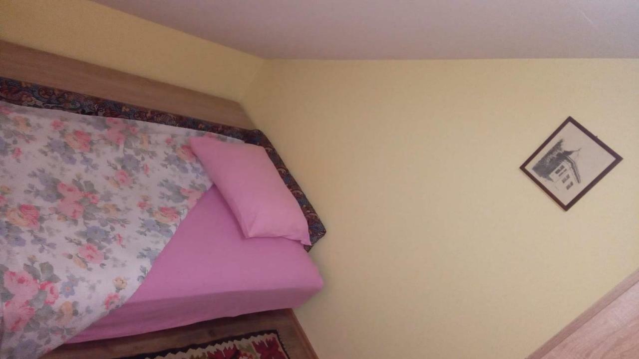 Putnicka Kuca Kod Dragane Hotel Bajina Basta Ngoại thất bức ảnh
